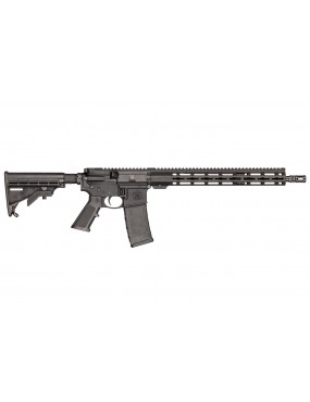 CARABINE SMITH & WESSON...