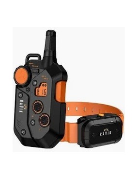 PACK COLLIER DE DRESSAGE...